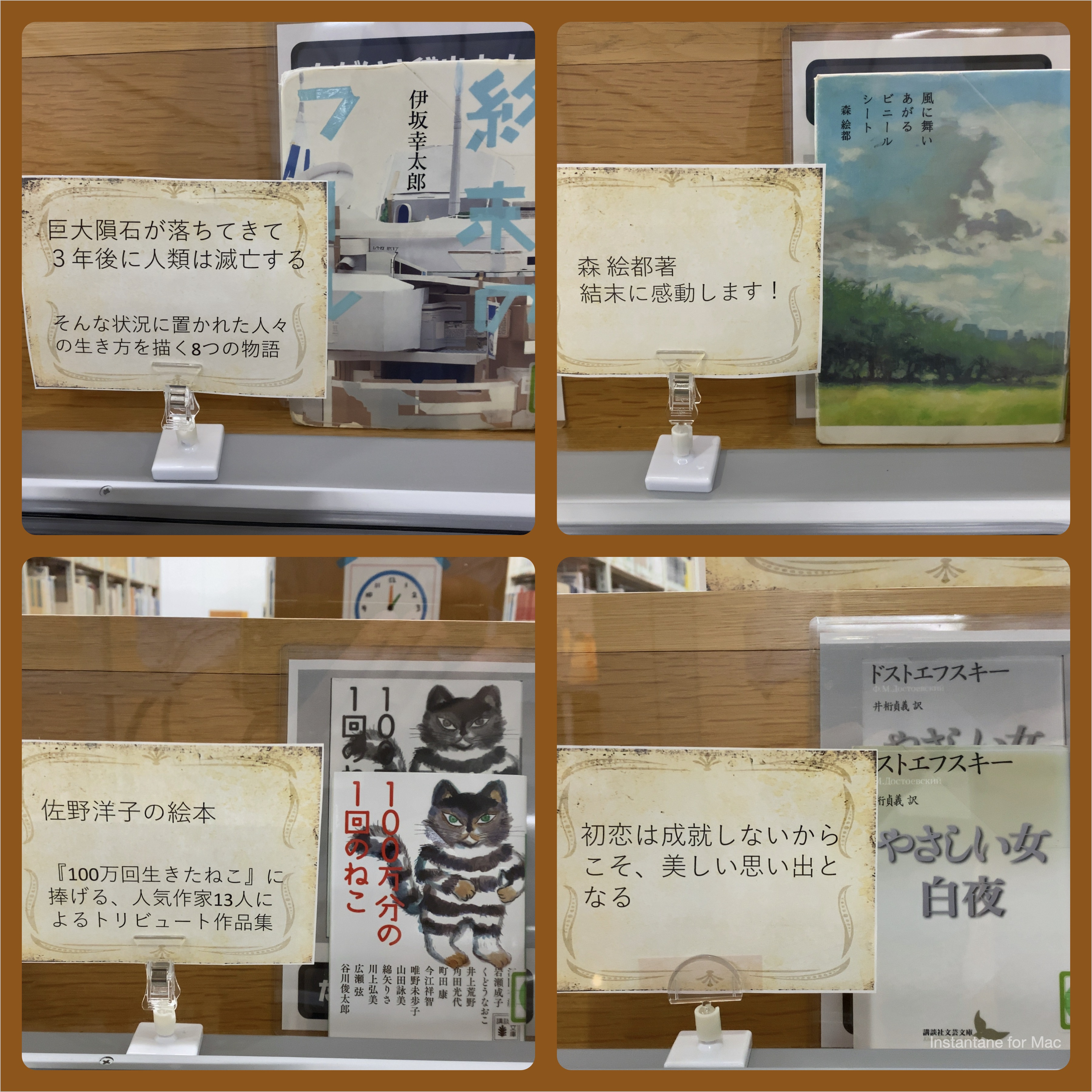 愛知淑徳大学図書館 Aichi Shukutoku University Library