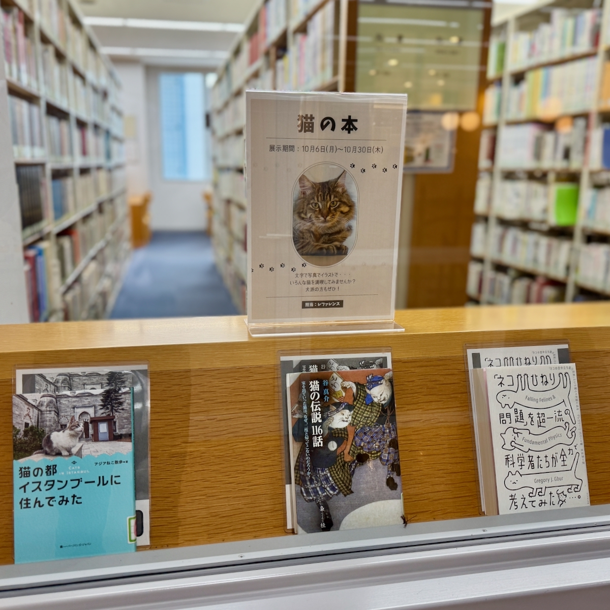 星が丘テーマ展示